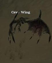 Cave Wing