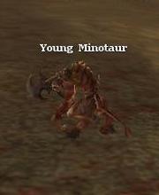 Young Minotaur
