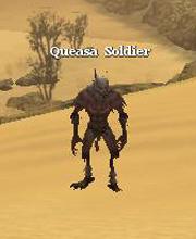 Queasa Soldier