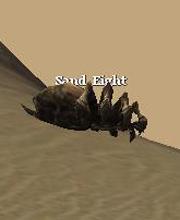 Sand Eight