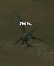 Plefter