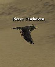 Pierce Turkaven