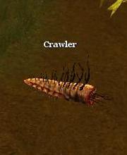 Crawler