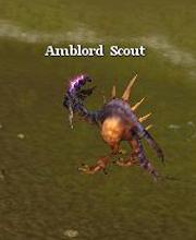 Amblord Scout