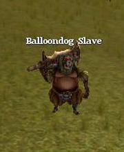 Balloondog Slave