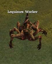 Lequimes Worker