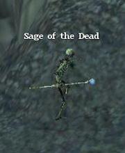 Sage of the Dead