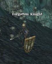 Forgotten Knight