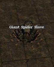 Giant Spider Slave