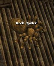 Rock Spider
