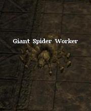 Giant Spider Worker