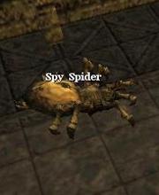 Spy Spider
