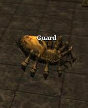 Giant Spider Watch Guard
