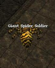 Giant Spider Soldier
