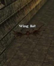 Wing Bat