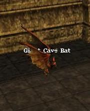 Giant Cave Bat