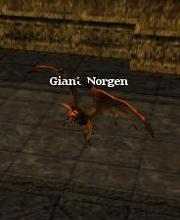 Giant Norgen