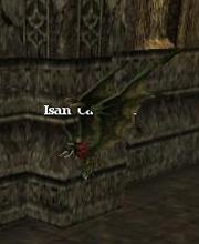 Isan Cave Bat