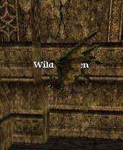 Wild Norgen