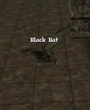 Black Bat