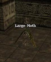 Large Moth