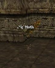 Big Moth